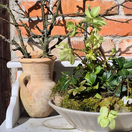 Pokój I Spokój Alojamento de Turismo Rural *