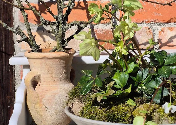 Pokój I Spokój Alojamento de Turismo Rural *